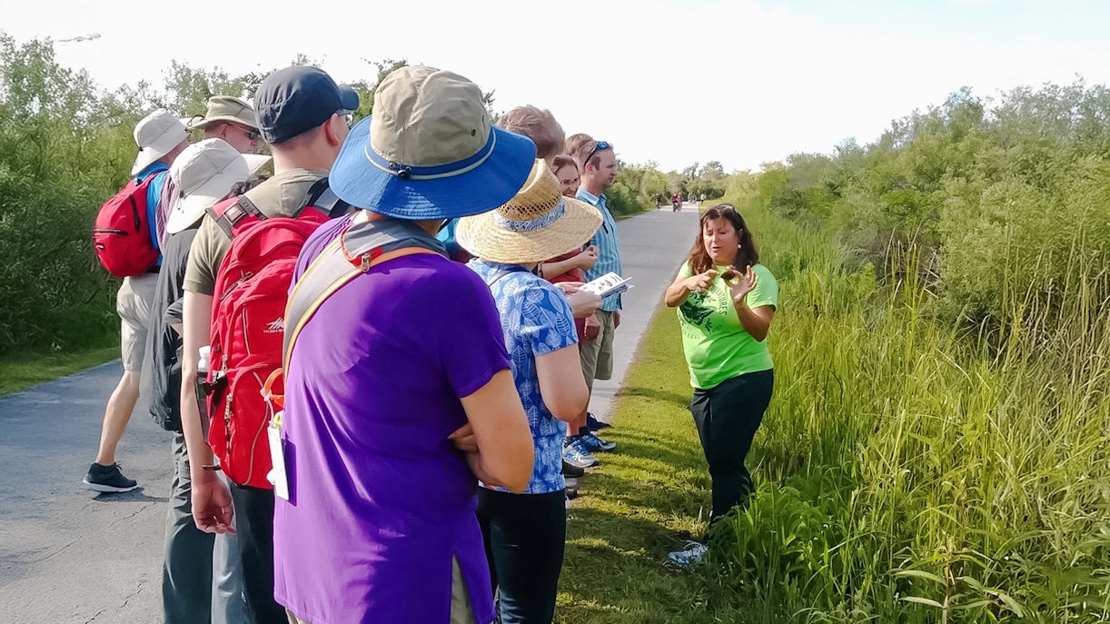 Guests listening to tour guide on Everglades Nature trail during guided walk.