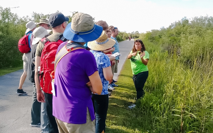 Tour guide explaining flora to guests on Everglades nature trail.