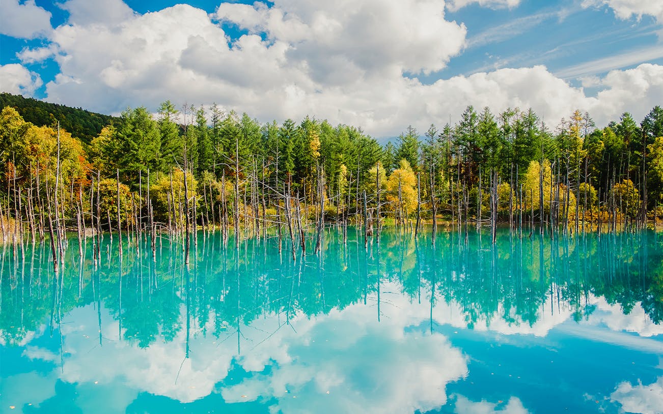 Blue Pond in Hokkaido with vibrant trees and clear reflections.