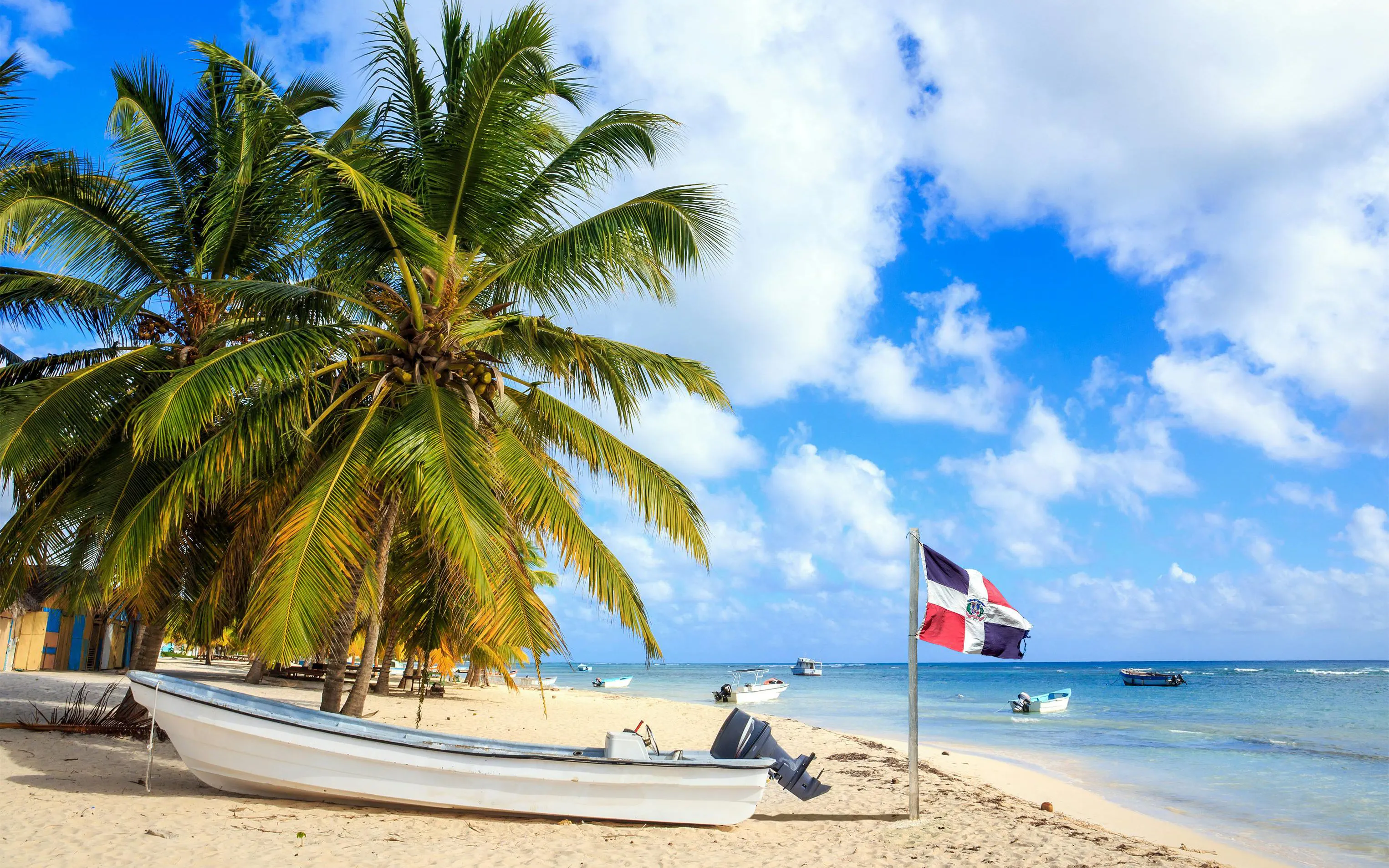 Boats on sandy beach with palm trees and Dominican Republic flag, Saona Island.