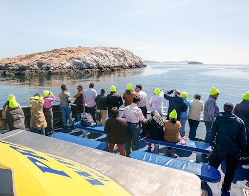 Group on whale watching tour with Prince of Whales, Vancouver, observing orcas in the ocean.