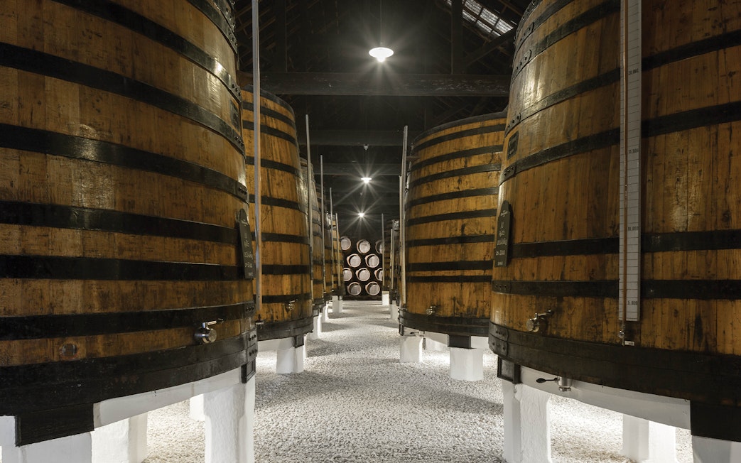 Large wooden wine barrels inside Graham’s Port Lodge cellar.