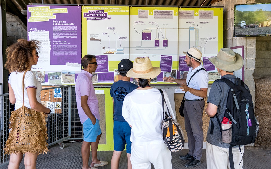Tour group learning about lavender distillation process in Sault, France.
