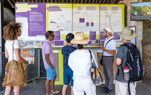 Tour group learning about lavender distillation process in Sault, France.