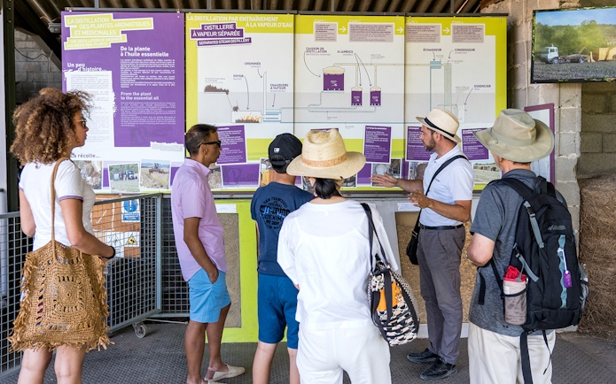 Tour group learning about lavender distillation process in Sault, France.