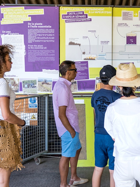 Tour group learning about lavender distillation process in Sault, France.