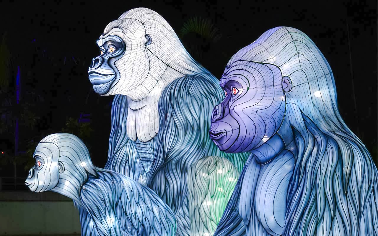 Gorilla light sculptures at Vivid Sydney during buffet dinner cruise.