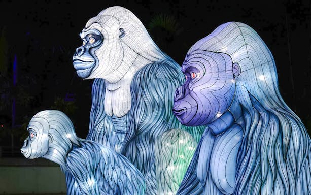 Gorilla light sculptures at Vivid Sydney during buffet dinner cruise.