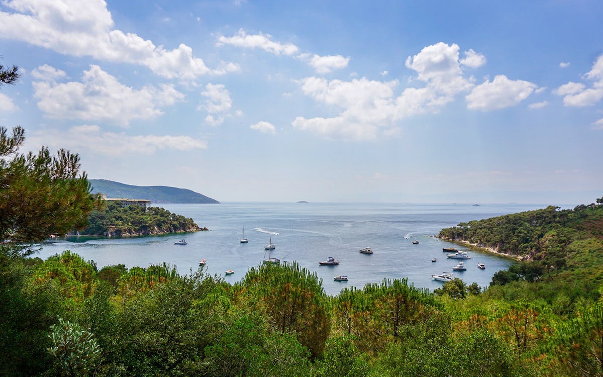 princes' islands cruise with buffet lunch & transfers-2 princes' islands cruise with buffet lunch & transfers-2