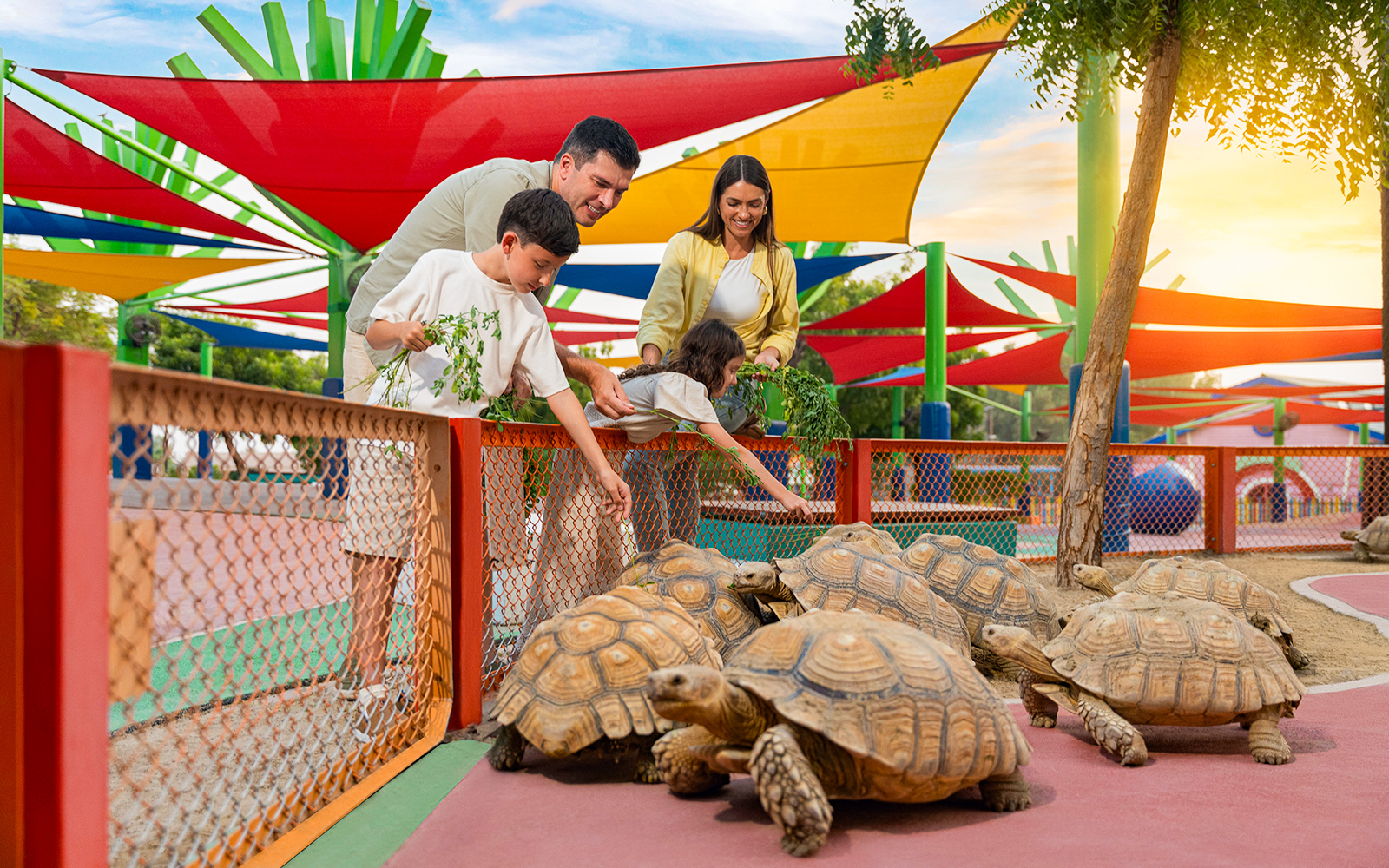 Family feeding tortoises at Dubai Safari Park under colorful shade structures.