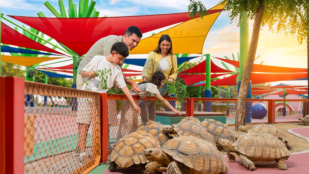 Family feeding tortoises at Dubai Safari Park under colorful shade structures.