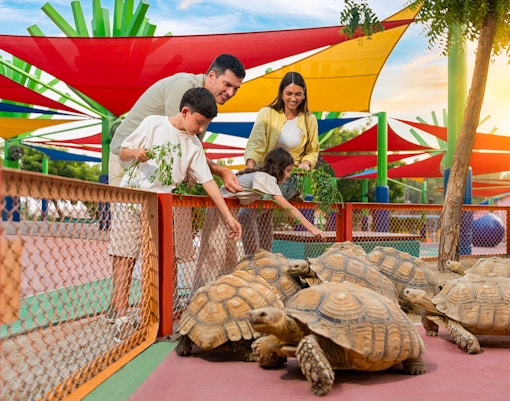 Dubai Safari Park Tickets