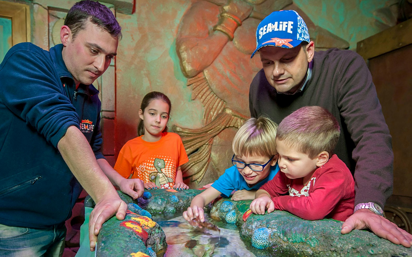 SEA LIFE Aquarium Verona - Interactive tanks