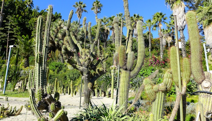 Mossèn Costa i Llobera Gardens