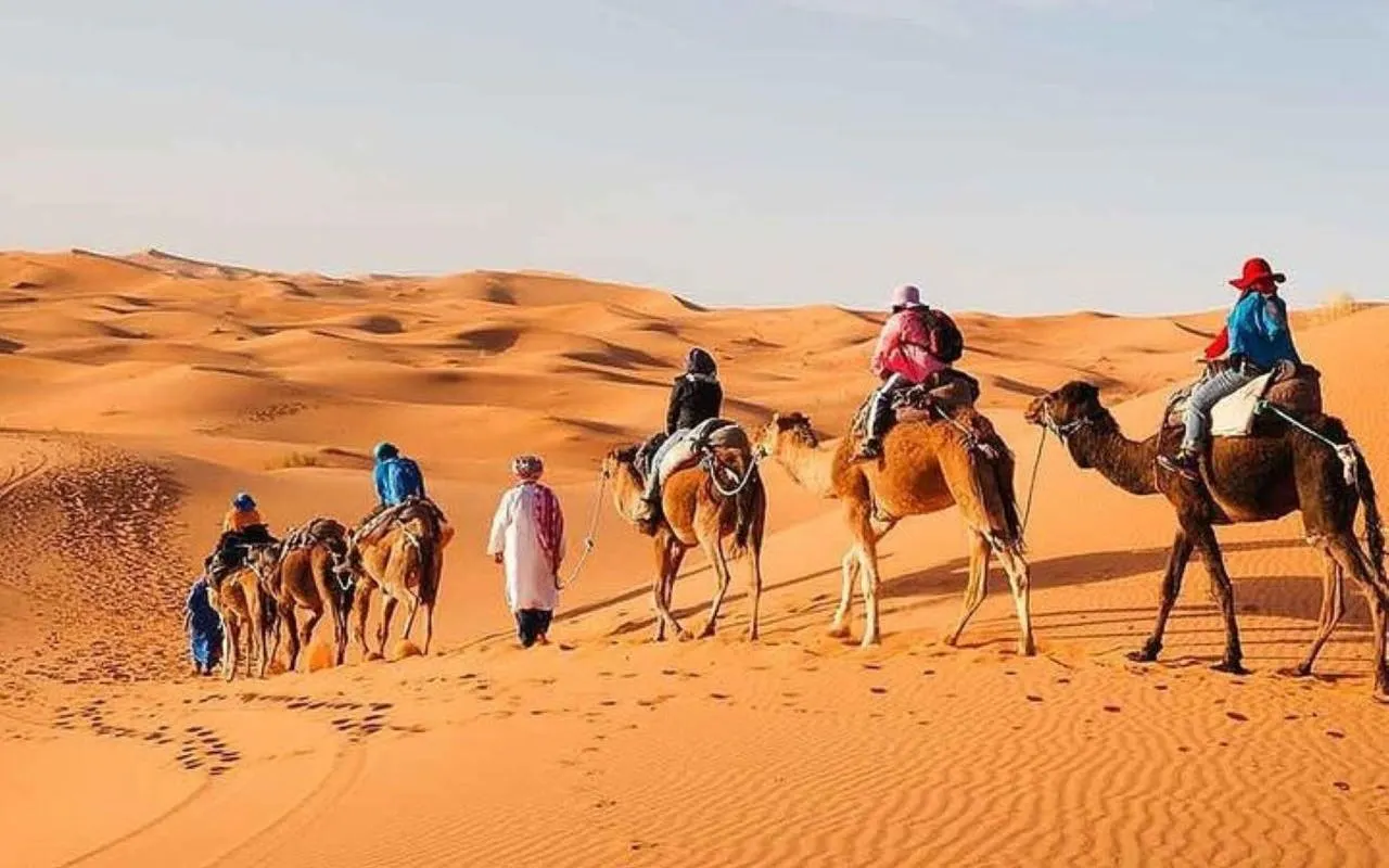 Camel caravan crossing the Sahara Desert dunes near Marrakesh.