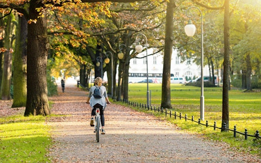 Cyclist on a tree-lined path during a guided bike tour in a park.