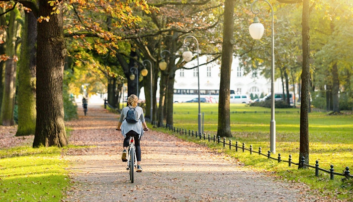 Bike Tour of the Tiergarten park in Berlin