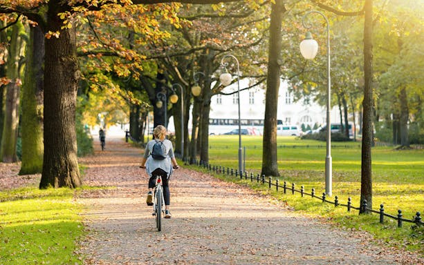 Cyclist on a tree-lined path during a guided bike tour in a park.