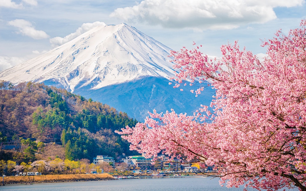 Mount Fuji with cherry blossoms in foreground during spring tour in Japan.