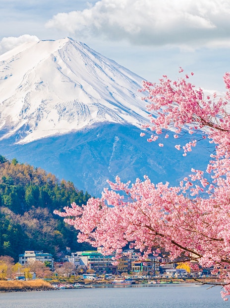 Mount Fuji with cherry blossoms in foreground during spring tour in Japan.