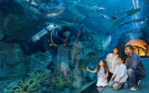 tickets to dubai aquarium & underwater zoo-1