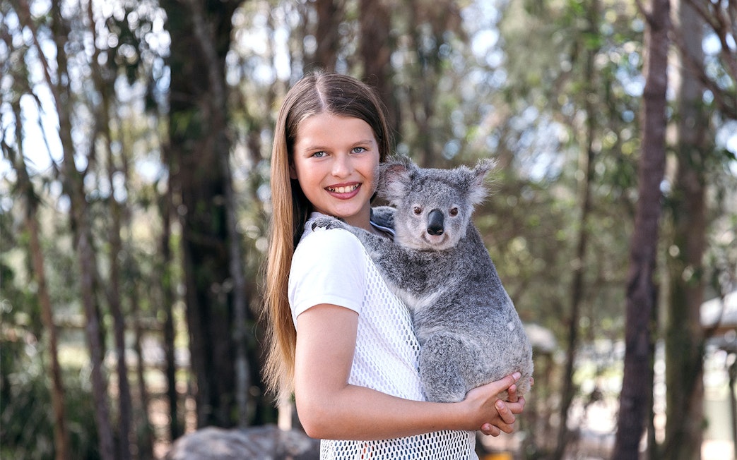 Person holding a koala at Paradise Country, Australia.