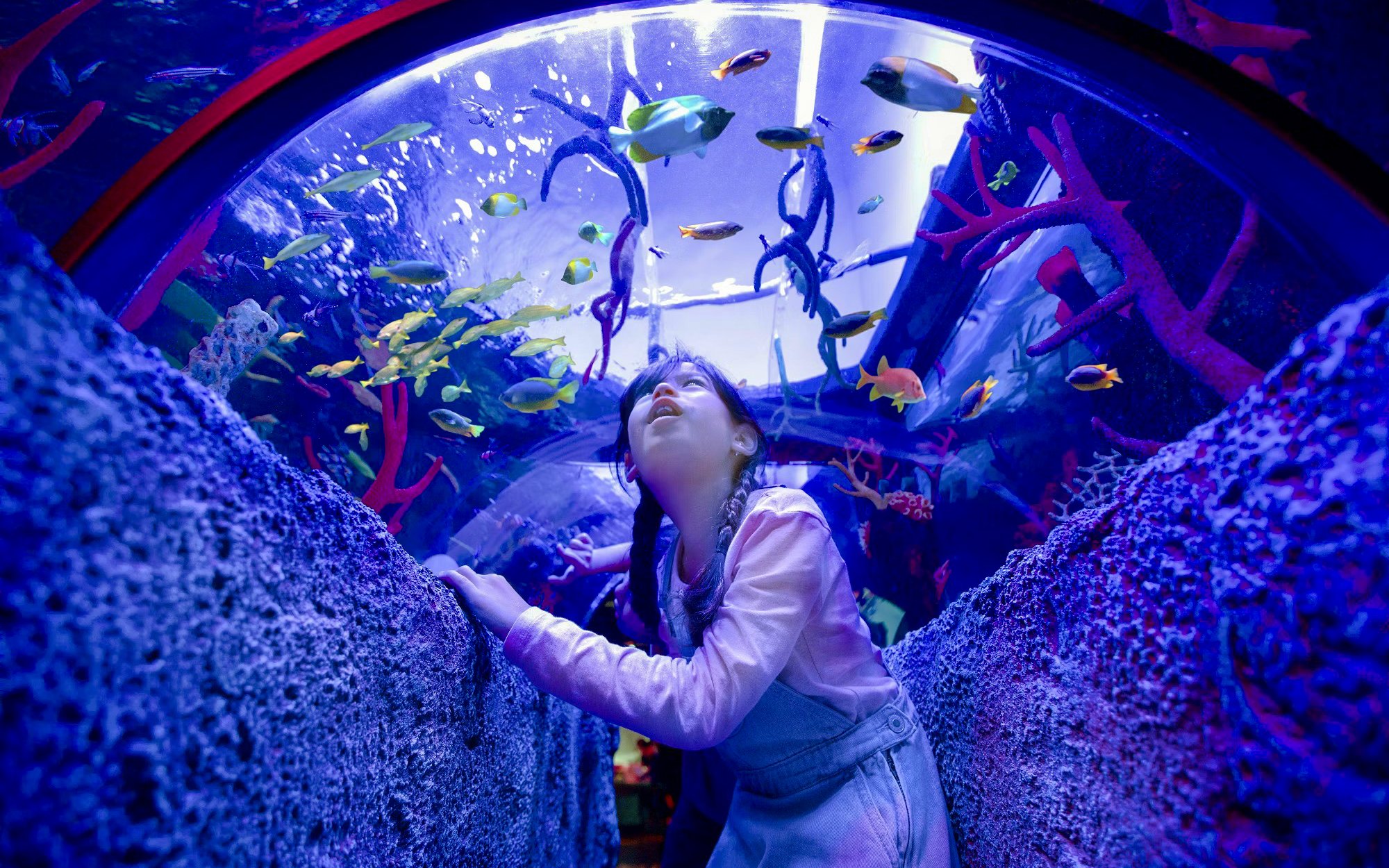 Child exploring underwater tunnel at LEGOLAND® Malaysia SEA LIFE with colorful fish overhead.
