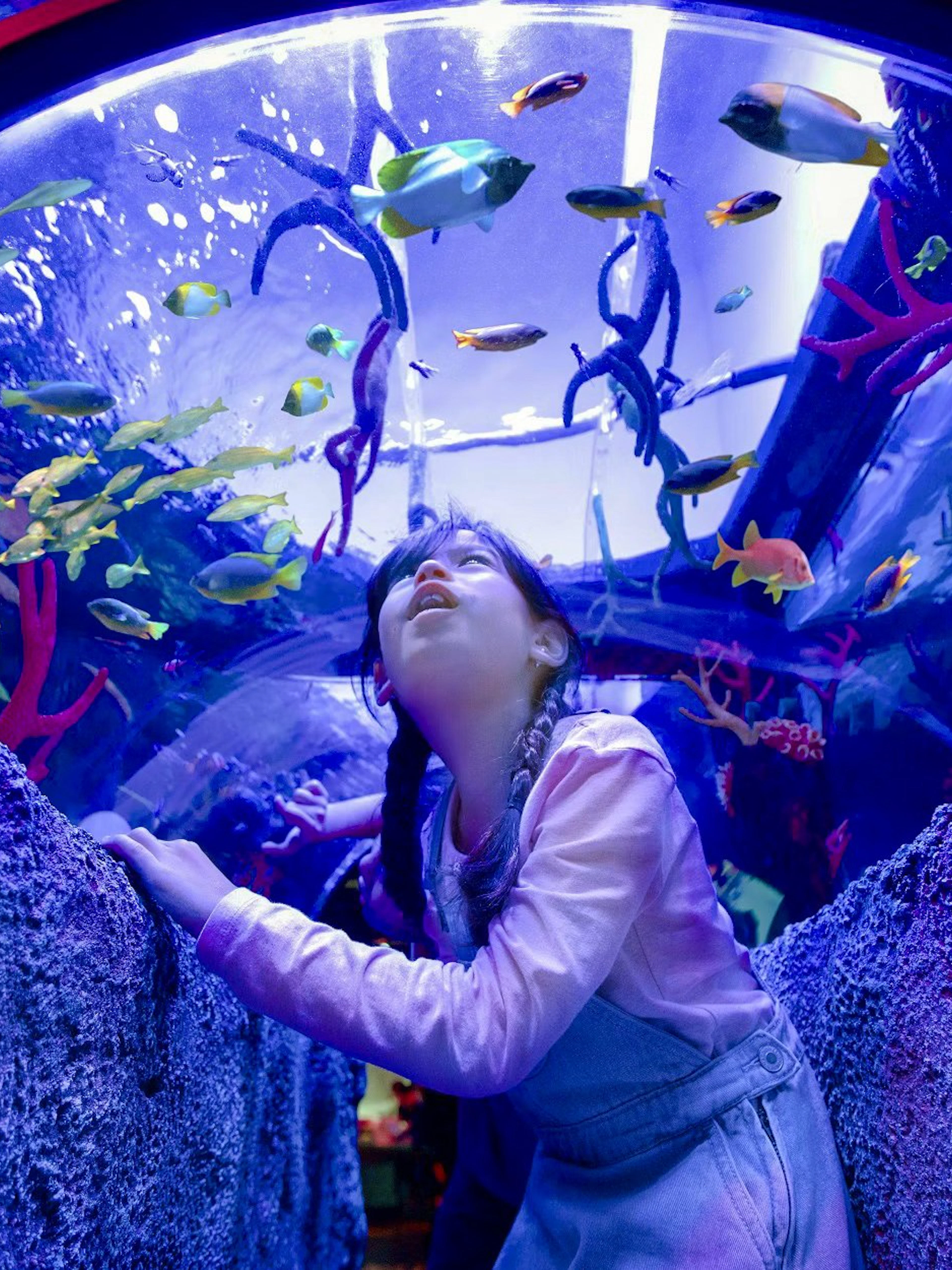 Child exploring underwater tunnel at LEGOLAND® Malaysia SEA LIFE with colorful fish overhead.