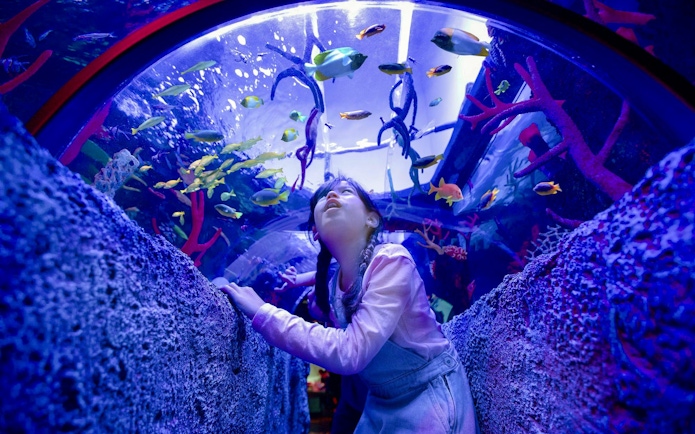 Child exploring underwater tunnel at LEGOLAND® Malaysia SEA LIFE with colorful fish overhead.