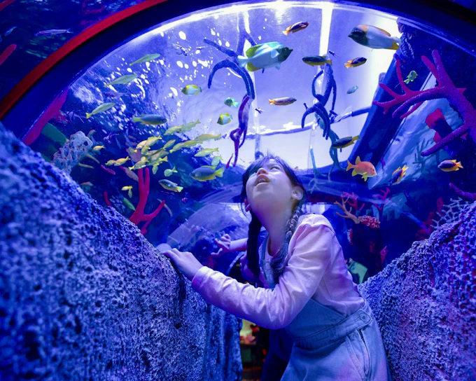 LEGOLAND® Malaysia SEA LIFE