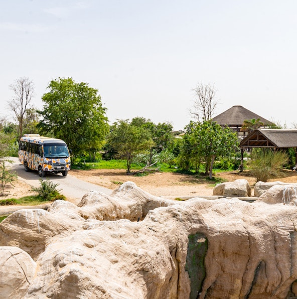 Essential tips for visiting Dubai Safari Park