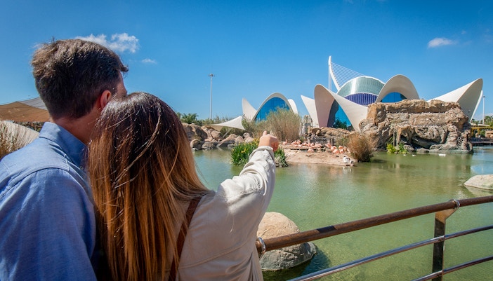 Couple observing flamingos at Oceanogràfic Valencia.