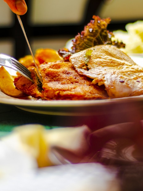Guests enjoying lunch during Danube Bend Bus Tour from Budapest.