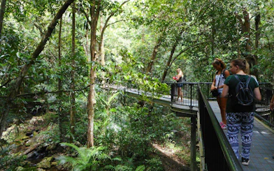 Tour delle cascate delle Atherton Tablelands con partenza da Cairns