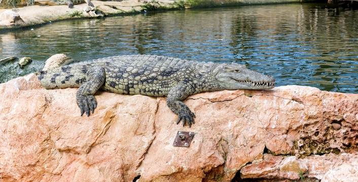 Agadir Crocoparc