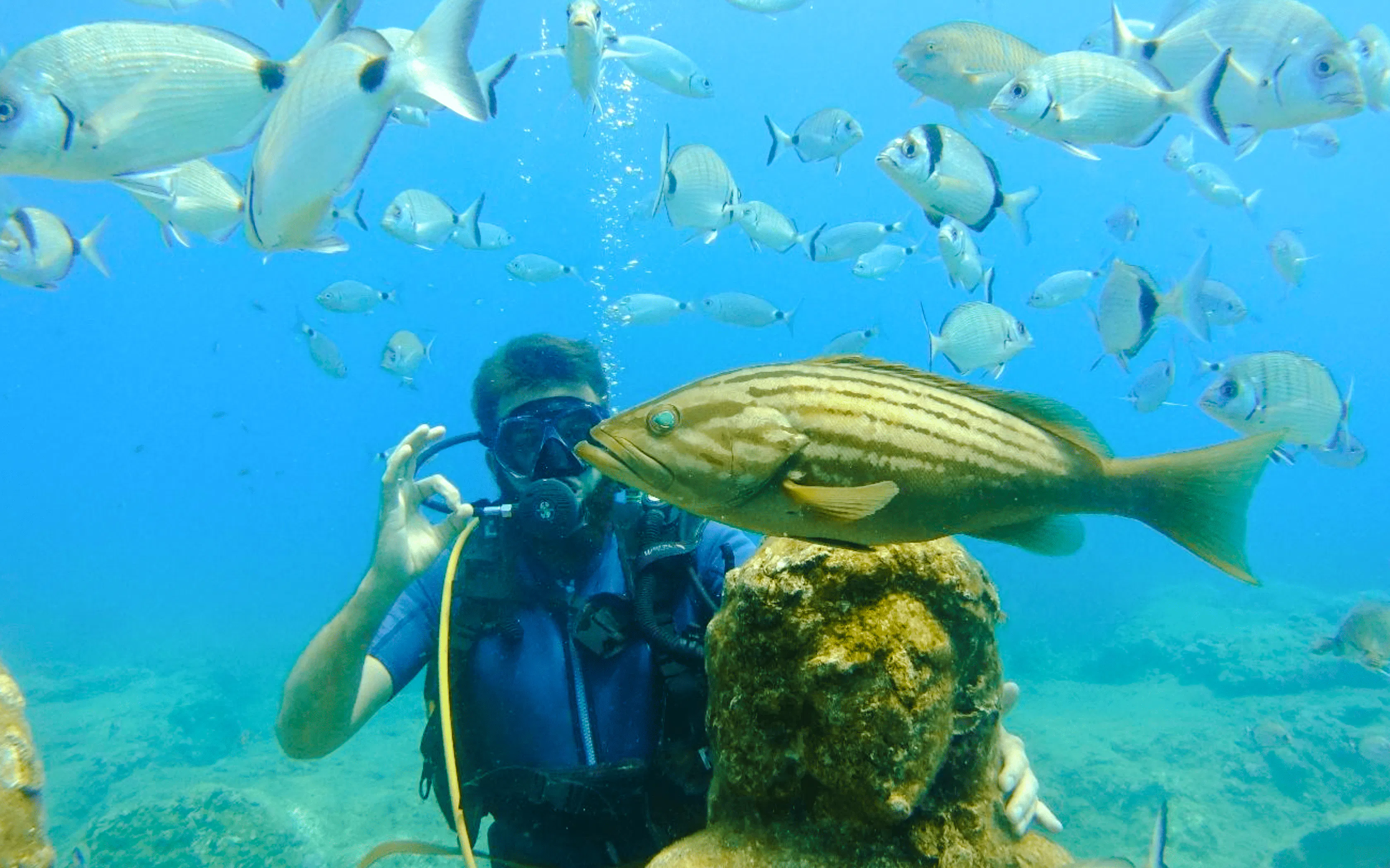 Side Scuba Diving at Side Underwater Museum with Hotel Transfers and Lunch