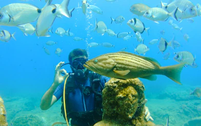 Side Scuba Diving at Side Underwater Museum with Hotel Transfers and Lunch