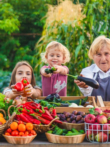 Family presenting fresh produce at a farm stand during Lavender Full Day Tour.