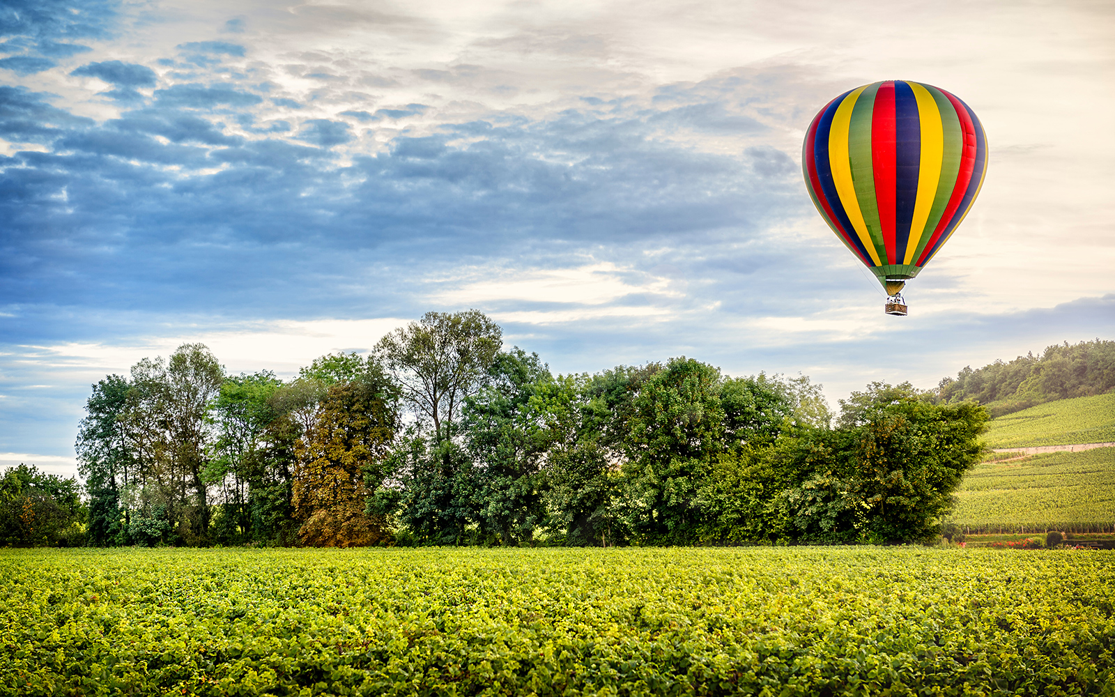 Hot Air Balloon - Chateau de Fontainebleau