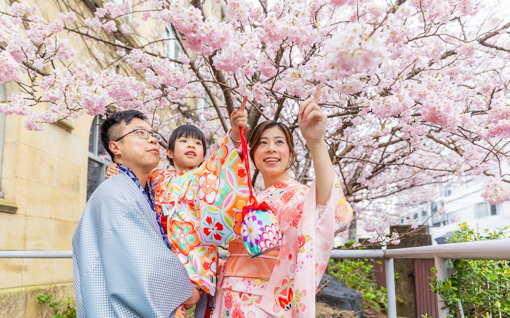 Guests in kimonos under cherry blossoms at Kyoto Kimono Rental.