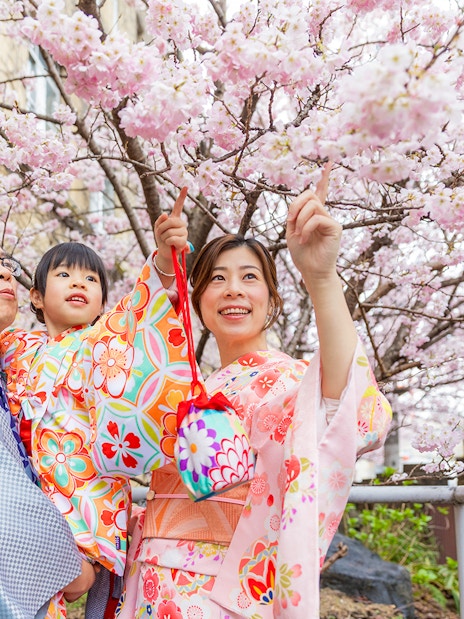 Guests in kimonos under cherry blossoms at Kyoto Kimono Rental.