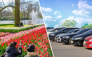 Tulips blooming at Keukenhof Gardens with visitors and a pond in the background.