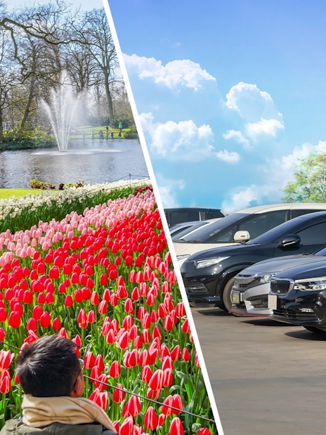Tulips blooming at Keukenhof Gardens with visitors and a pond in the background.