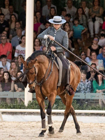 Equestrian performer in traditional attire riding a horse during a show.