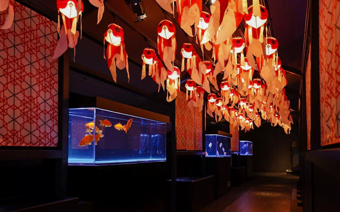 Colourful fish tanks and lanterns at Sumida Aquarium, Tokyo.
