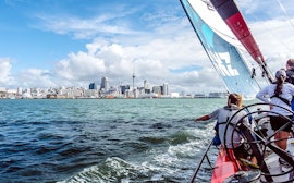 Return sail to Viaduct Harbour