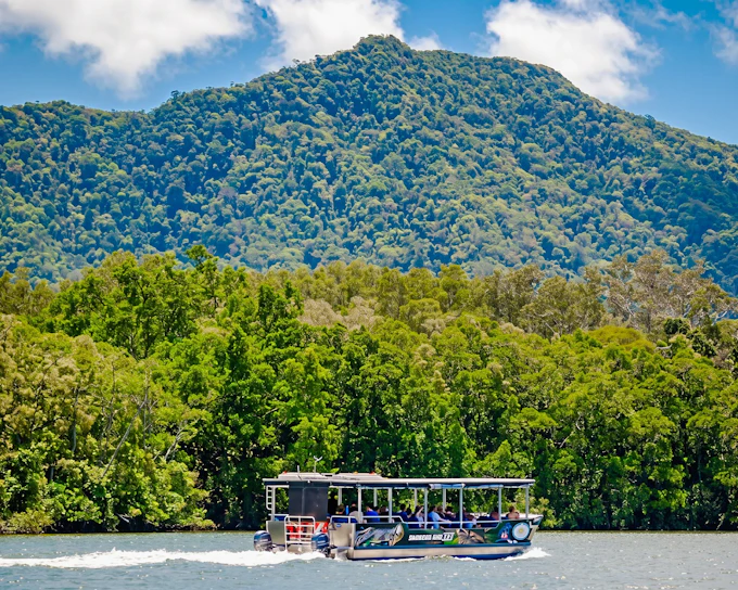 Daintree River Guided Crocodile & Wildlife Experience Cruise