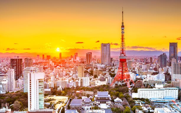 Tokyo skyline with Tokyo Tower at sunset during a private sightseeing tour.