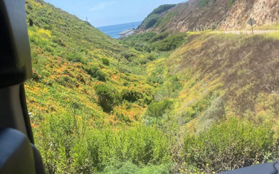 View of Pacific Coast Highway with lush greenery and ocean in Santa Monica to Malibu tour.