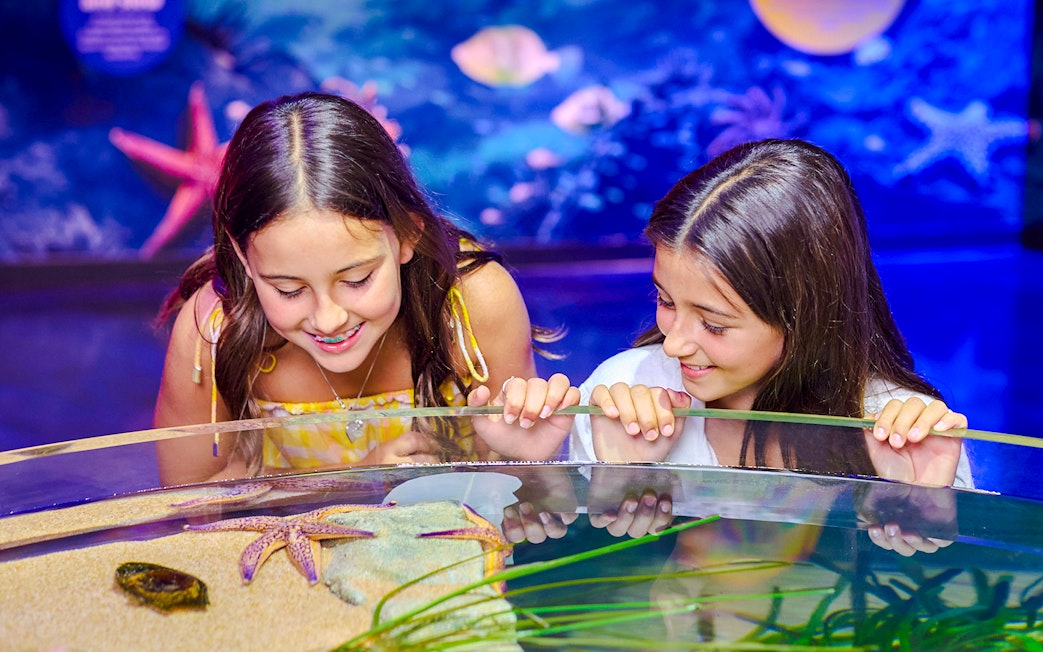 Children observing starfish at Sea Life Melbourne aquarium.